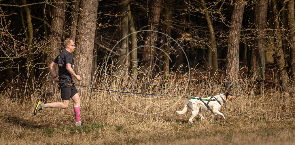 DV3A3826 | Hundefotografie, Tierfotograf, Pfotenfotografie, Fotoshooting Hund, Hunde Portrait, Hundesport, Hundeportraits, Heideshooting, Hunde, Sportfotograf, Hundefotograf, Turnierhundsport, THS,  - Realisiert mit Pictrs.com