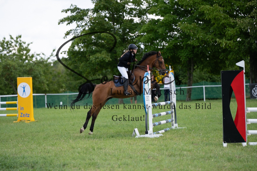 A7V04601 | Pferdefotograf