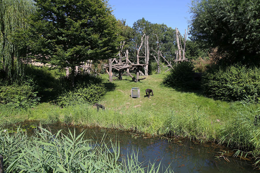 Foto: Leipzig - Zoo | Das Team hinter BILDLEXIKON LEIPZIG bündelt historische wie aktuelle Informationen über die Stadt Leipzig in Text und Bild auf einer Plattform und stellt diese der interessierten Öffentlichkeit zur Verfügung.