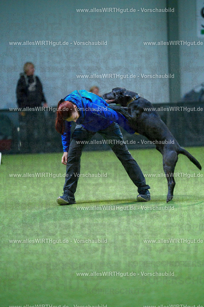 7R502520 | Professionelle Tierfotografie in Mönchengladbach von Daniel Wirth (allesWIRTHgut). Liebevolle & natürliche Bilder von Hunden & Katzen für unvergessliche Erinnerungen.