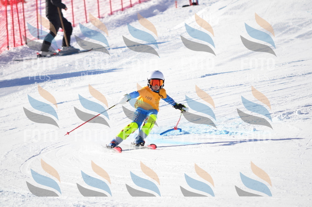 C6261 | holidayphoto