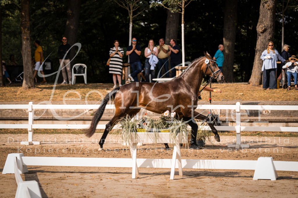 FrER00172 | Leoni Ertmer Photography - Realisiert mit Pictrs.com