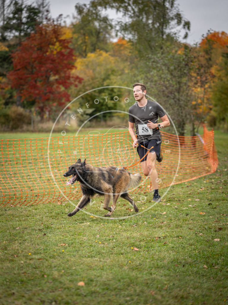 Pfotenfotografie_DV3A2614 | Hundefotografie, Tierfotograf, Pfotenfotografie, Fotoshooting Hund, Hunde Portrait, Hundesport, Hundeportraits, Heideshooting, Hunde, Sportfotograf, Hundefotograf, Turnierhundsport, THS,  - Realisiert mit Pictrs.com