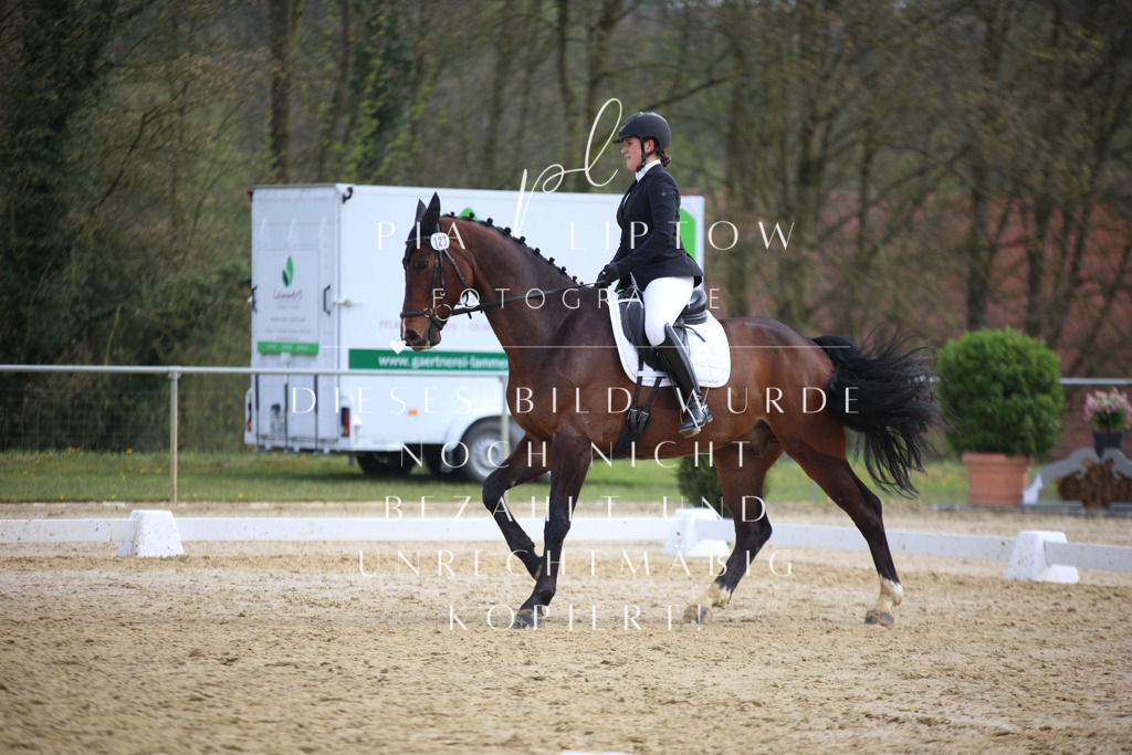 IMGT6586 | pl-fotografie