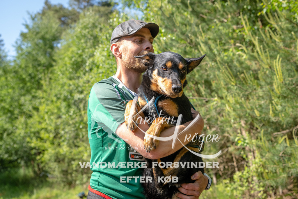 1650DKK991283 | kk-dogfotos
