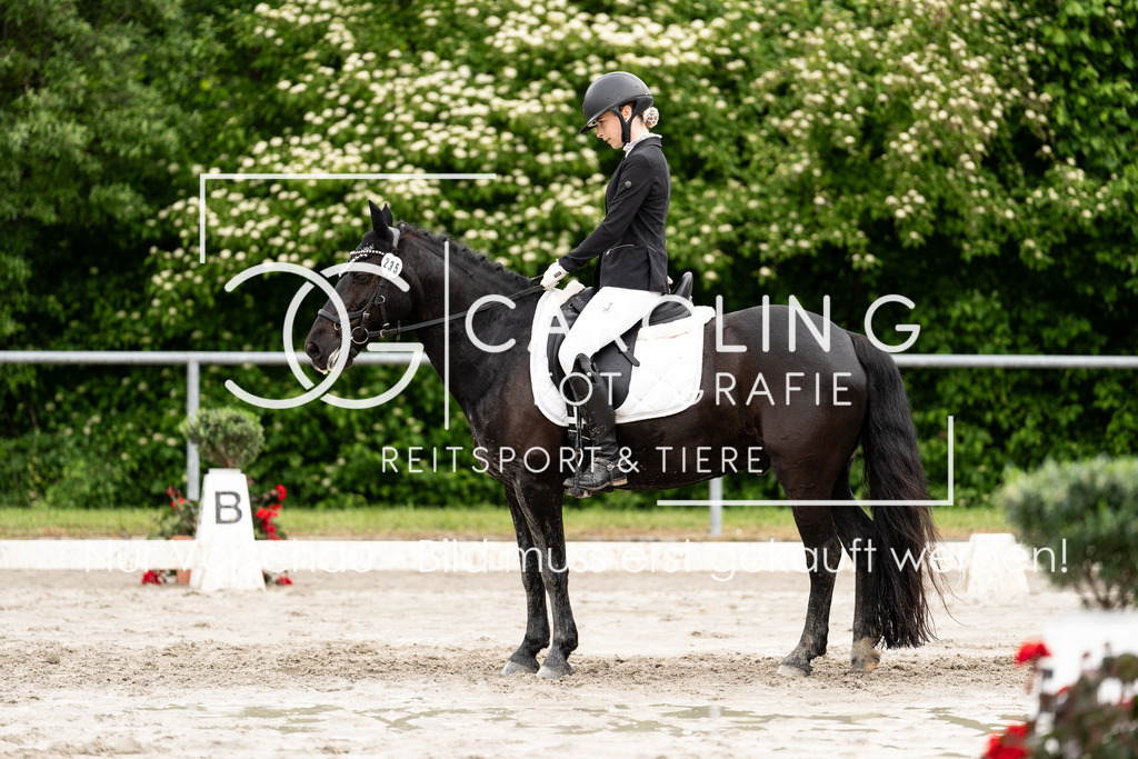 DSC07296 | Carolin Gieschke