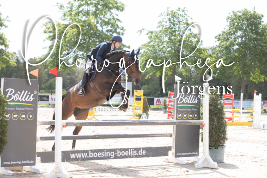 IMG_4053 | photographesa-joergens - Realisiert mit Pictrs.com