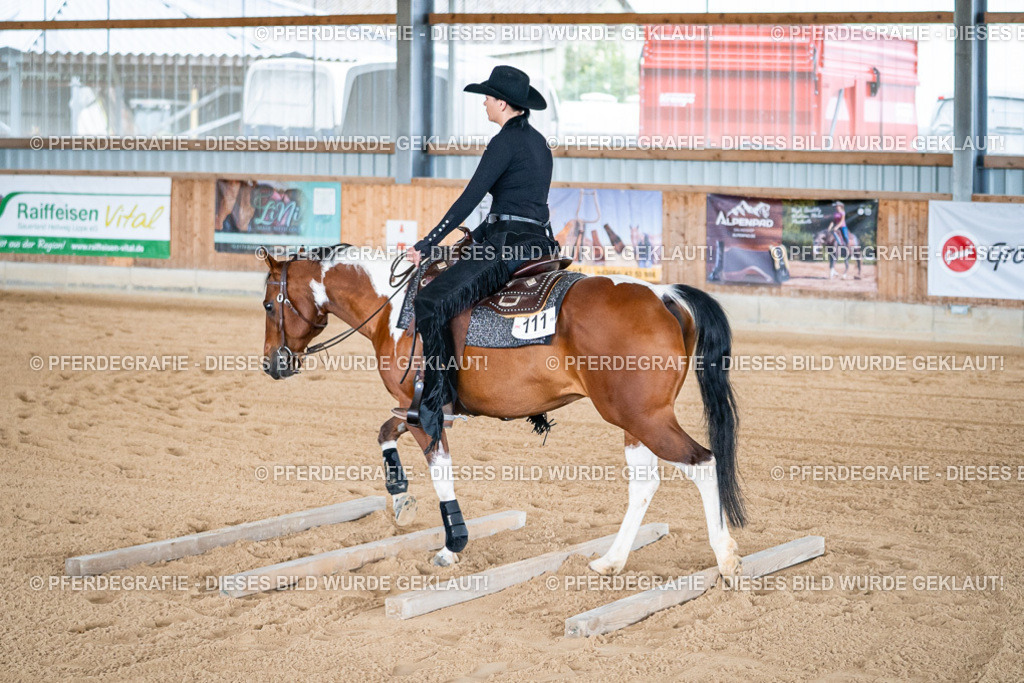 DSC08413 | Pferdegrafie