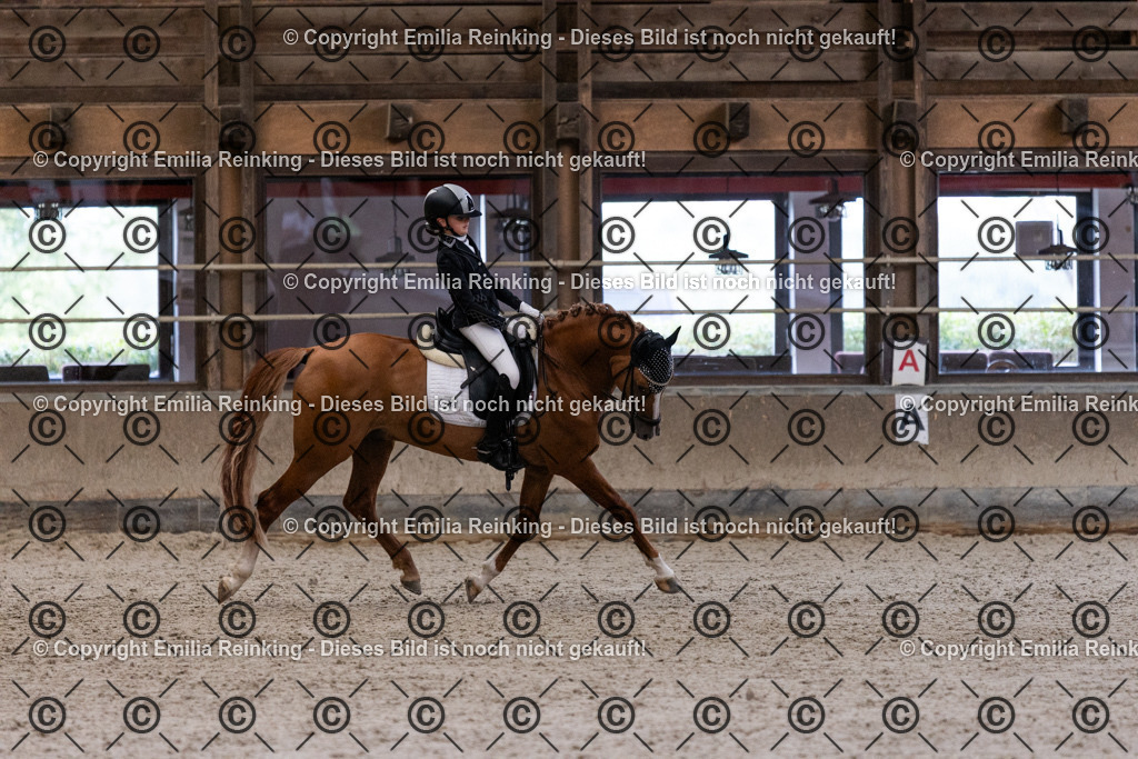 CL5A5239 | Emilia Reinking Fotografie - Realisiert mit Pictrs.com