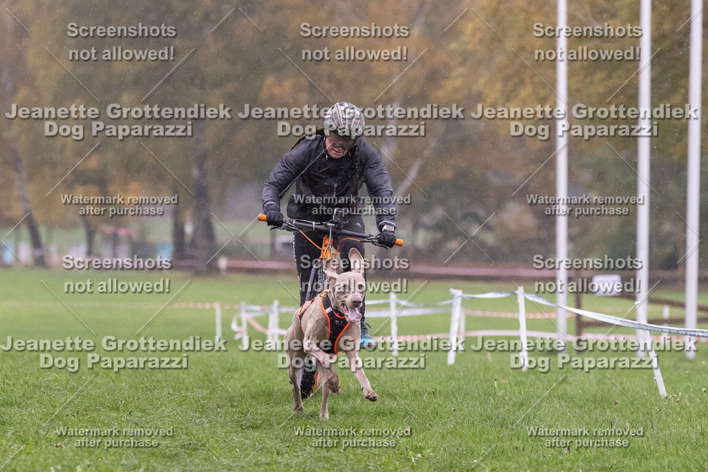 Dog Paparazzi - SD CaniX Championship 2025-901 | Dog Paparazzi Jeanette Grottendiek Fotografie & Videografie - Realisiert mit Pictrs.com
