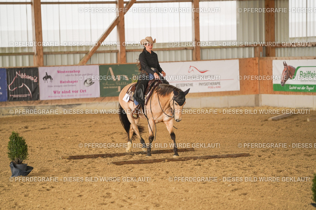 DSC01464 | Pferdegrafie