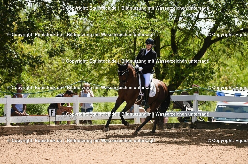 20230716_03_Dressurprfg. Kl.L - Tr._0115 | equistock