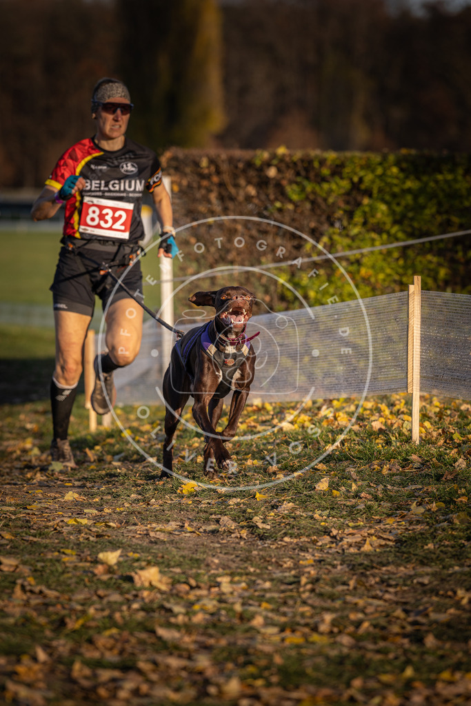 CaniXpix_DV3A3455 | Hundefotografie, Tierfotograf, Pfotenfotografie, Fotoshooting Hund, Hunde Portrait, Hundesport, Hundeportraits, Heideshooting, Hunde, Sportfotograf, Hundefotograf, Turnierhundsport, THS,  - Realisiert mit Pictrs.com