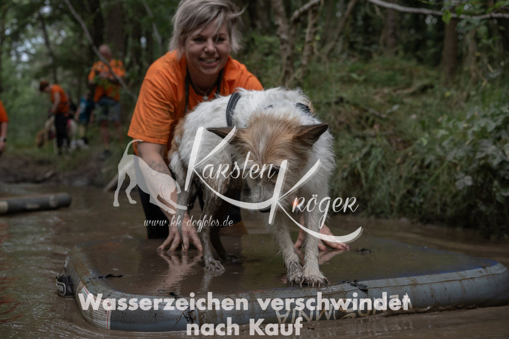 1343_ZZ95609 | kk-dogfotos