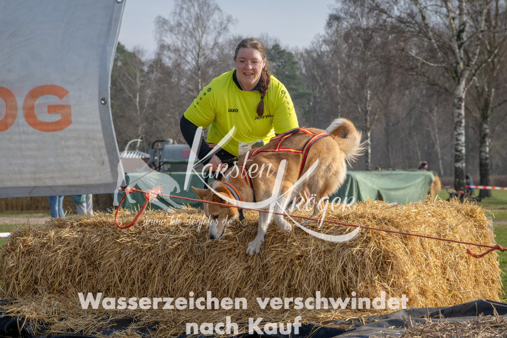 _ZZ90210 | kk-dogfotos