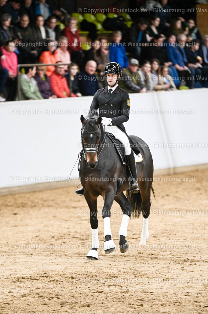 20260307_Hengstvorstellung-Marbach_0182 | equistock