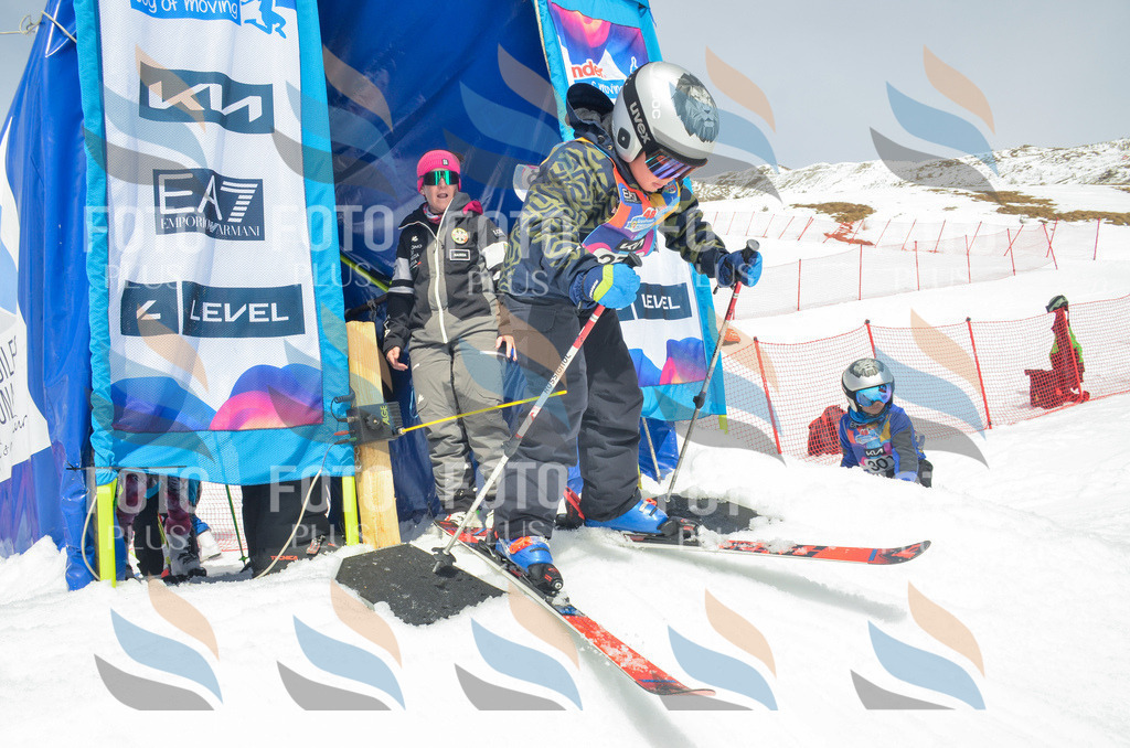 _ELE7902 | holidayphoto