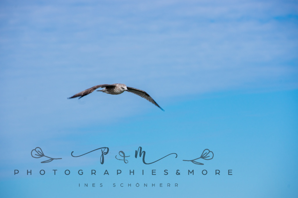 _Grenen22-1797 | Photographies and more - Realisiert mit Pictrs.com