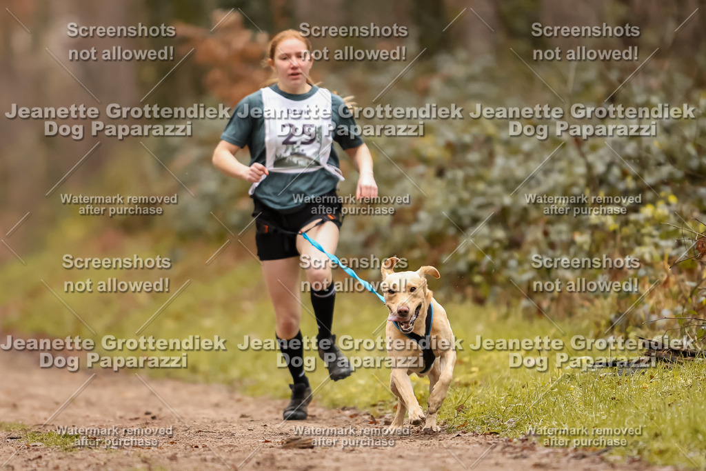 Dog Paparazzi - Speedhunter Mannheim  2025-64 | Dog Paparazzi Jeanette Grottendiek Fotografie & Videografie
