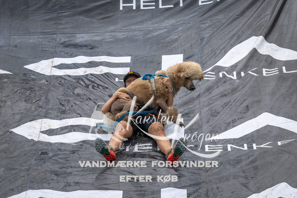 1338_ZZ92615 | kk-dogfotos