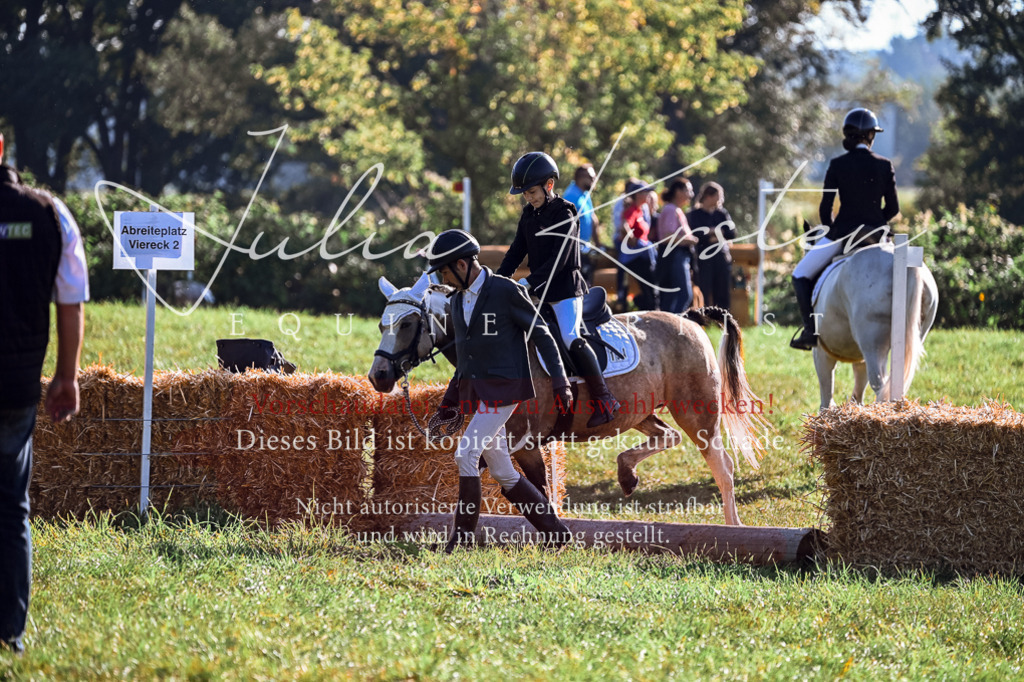 DSC_0327 | Pferde- und Turnierfotografie in Westsachsen. Pferdeportraits, Auftragszeichnungen und intuitive Kunst.