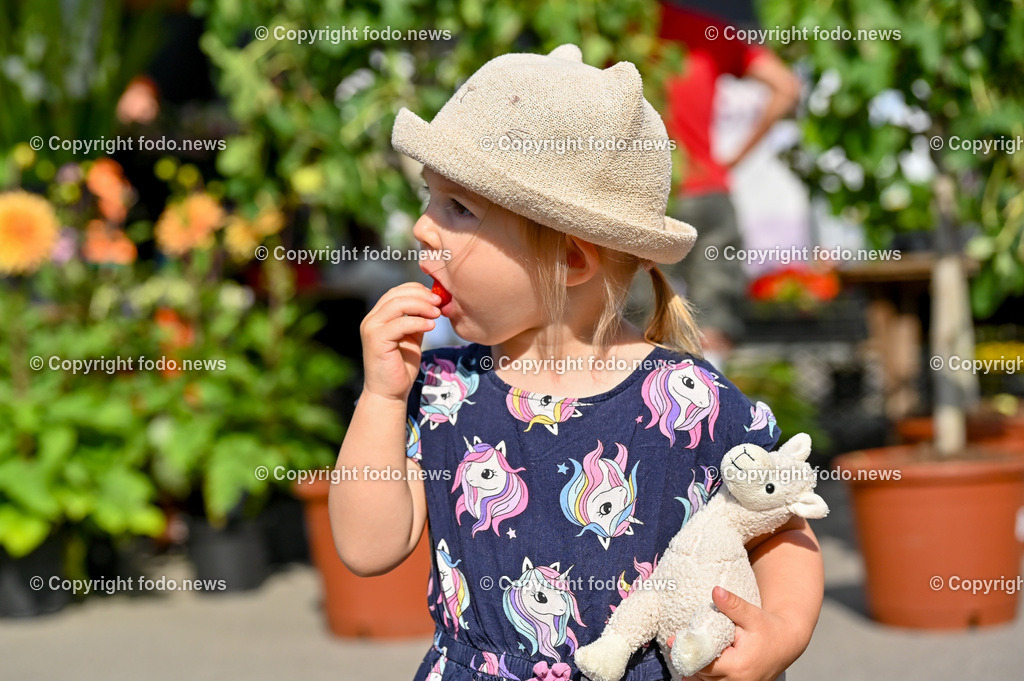 Markt Suedbahnhofmarkt_ 08.07.2023-12 | 08.07.2023, Linz, AUT, Linzer Genussmaerkte, im Bild Markt Suedbahnhofmarkt

Mathilda (2, Linz) beim Erdbeeren essen am Markt