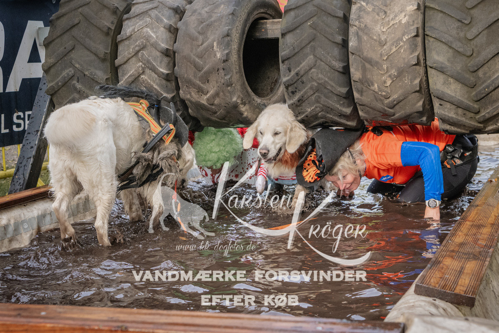 1447_ZZ90152 | kk-dogfotos