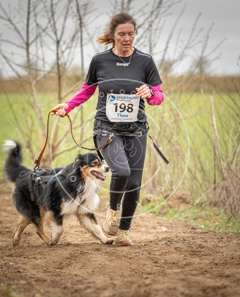 DV3A2440 | Hundefotografie, Tierfotograf, Pfotenfotografie, Fotoshooting Hund, Hunde Portrait, Hundesport, Hundeportraits, Heideshooting, Hunde, Sportfotograf, Hundefotograf, Turnierhundsport, THS,  - Realisiert mit Pictrs.com