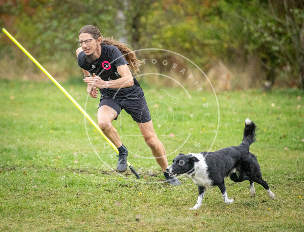 Pfotenfotografie_DV3A1247 | Hundefotografie, Tierfotograf, Pfotenfotografie, Fotoshooting Hund, Hunde Portrait, Hundesport, Hundeportraits, Heideshooting, Hunde, Sportfotograf, Hundefotograf, Turnierhundsport, THS,  - Realisiert mit Pictrs.com