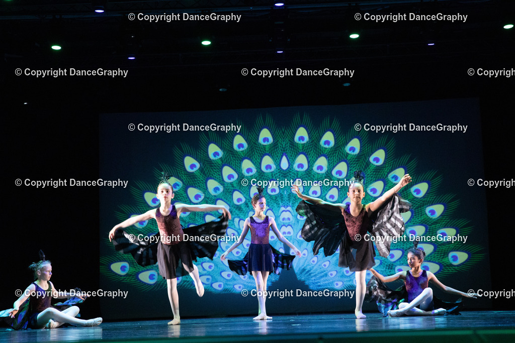 GPHY6154 | DanceGraphy - Realisiert mit Pictrs.com