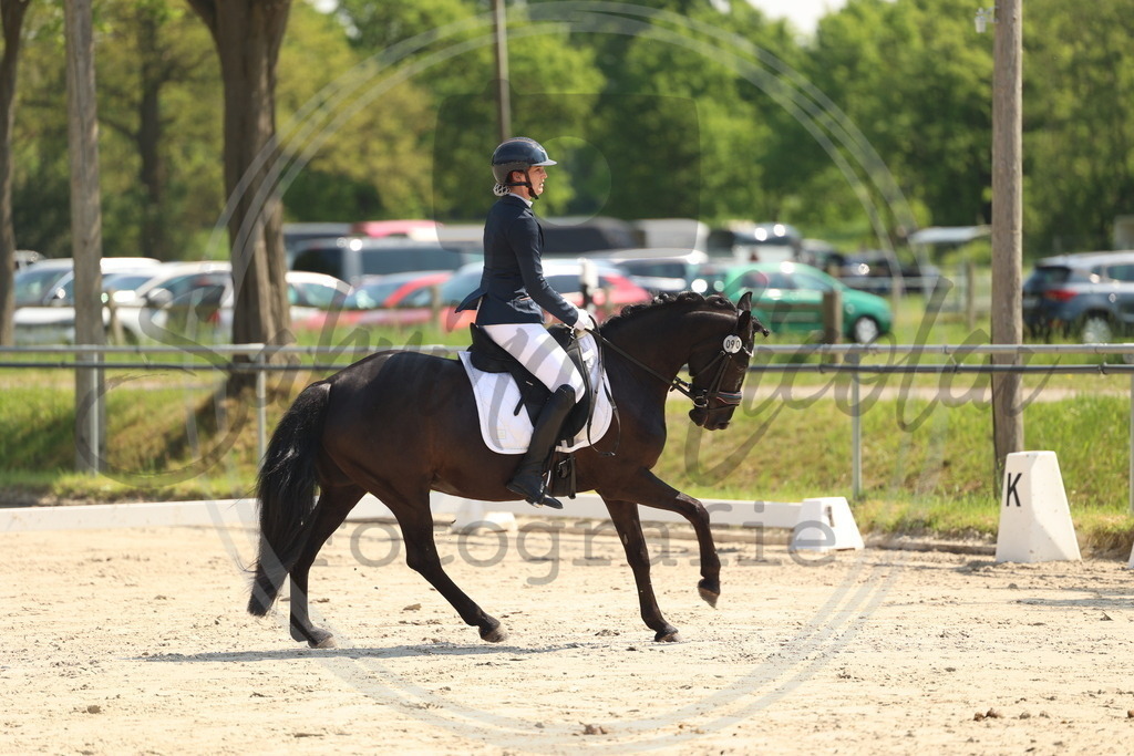 994A7232 | sabrinanicolaifotografie - Realisiert mit Pictrs.com