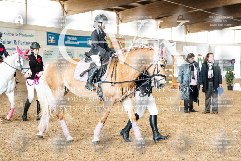 CK906042 | Turnierfotografie Pferdefotografie Trier Rheinland-Pfalz Pferdesport Reitsport Tierfotografie Sportfotografie Pferdevideo Pferdevideografie Equestrianvideography equestrianphotography  - Realisiert mit Pictrs.com