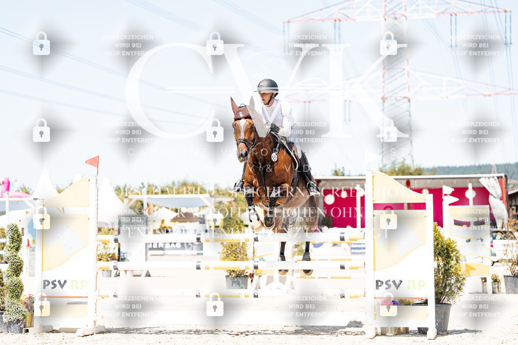 CK909493 | Turnierfotografie Pferdefotografie Trier Rheinland-Pfalz Pferdesport Reitsport Tierfotografie Sportfotografie Pferdevideo Pferdevideografie Equestrianvideography equestrianphotography  - Realisiert mit Pictrs.com