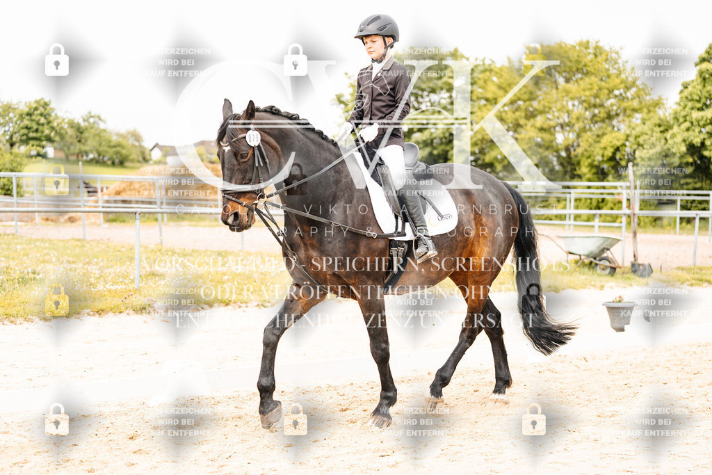 CK904205 | Turnierfotografie Pferdefotografie Trier Rheinland-Pfalz Pferdesport Reitsport Tierfotografie Sportfotografie Pferdevideo Pferdevideografie Equestrianvideography equestrianphotography  - Realisiert mit Pictrs.com
