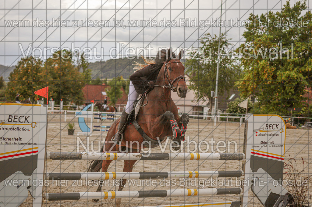 2025-09-22_11-33-05_MG_0282 | TE-Fotos