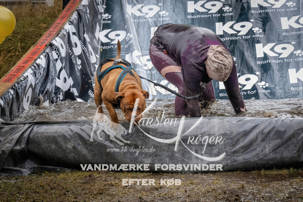 1225_ZZ94999 | kk-dogfotos