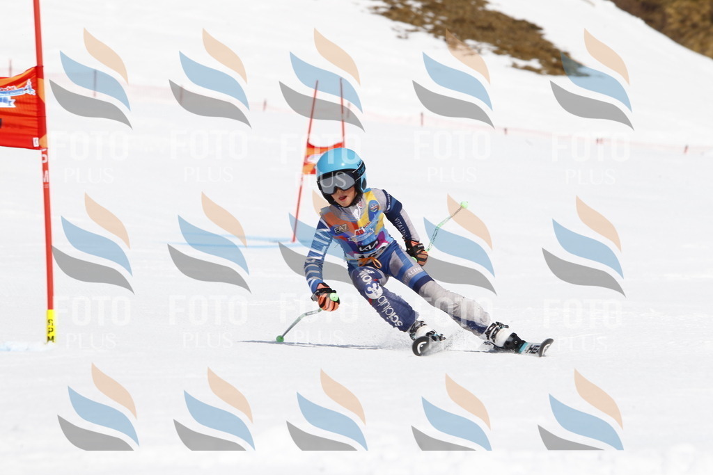 _U3G4393 | holidayphoto