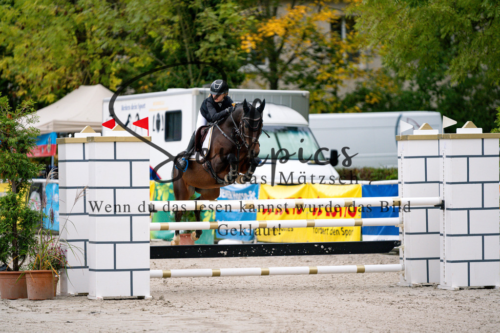 A7V00272 | Pferdefotograf