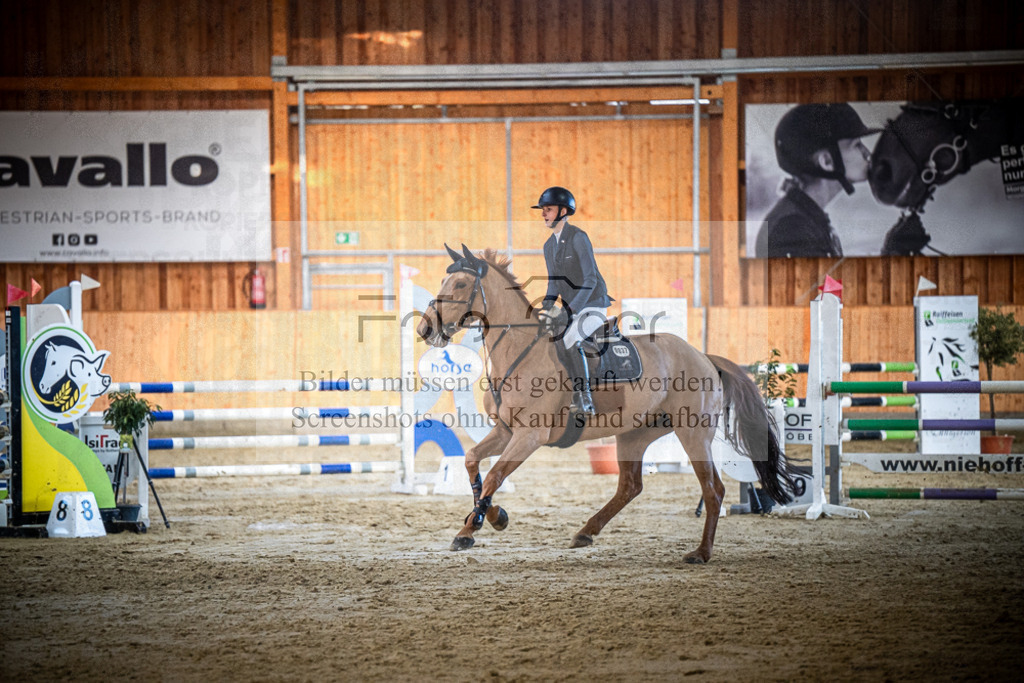 DOS_1102 | Entdecke hochwertige Reitturnierfotos von Foto Oger. Professionell, emotional und authentisch – jetzt Lieblingsmomente im Shop bestellen.Deutschlandweite Turnierfotografie. - Realisiert mit Pictrs.com