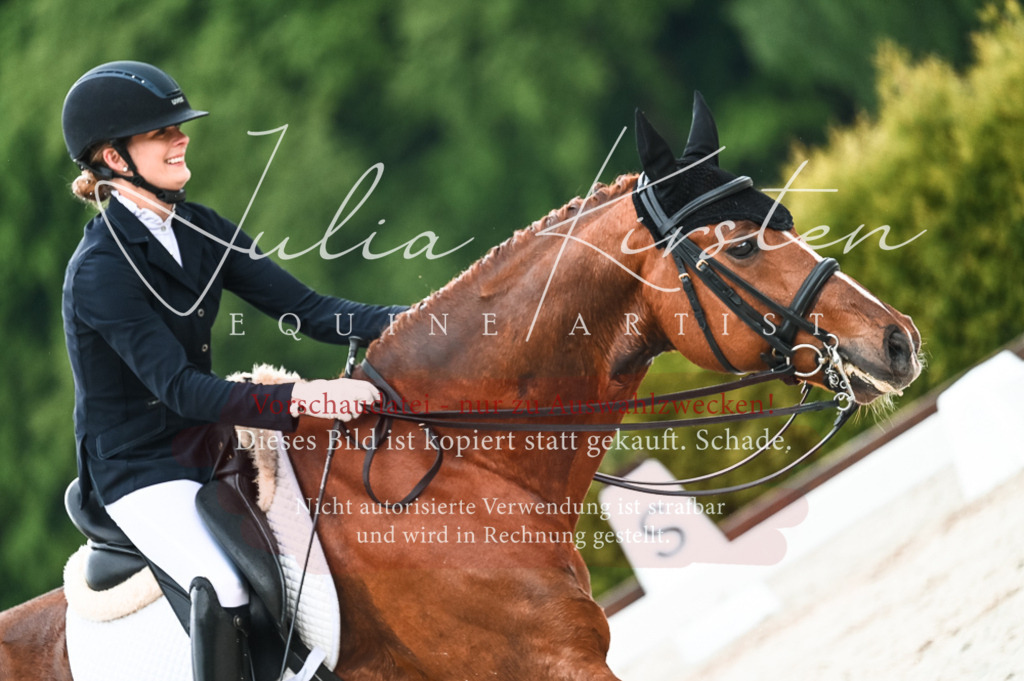 DSC_4264 | Pferde- und Turnierfotografie in Westsachsen. Pferdeportraits, Auftragszeichnungen und intuitive Kunst.