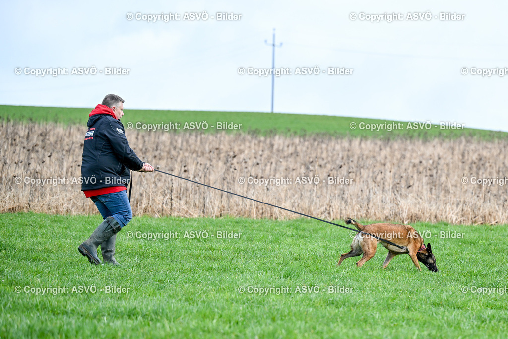 ASVÖ_ Tracking Dog World Championship 2025_ 31.03.2025-50 | 31.03.2025, AUT, ASVÖ, Tracking Dog World Championship // FCI IGP Fährtenhundeweltmeisterschaft 2025©fodo.media / Harald Dostal - Realisiert mit Pictrs.com