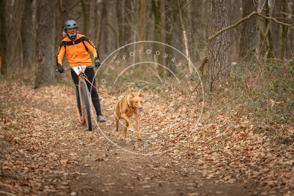 Pfotenfotografie_DV3A0759 | Hundefotografie, Tierfotograf, Pfotenfotografie, Fotoshooting Hund, Hunde Portrait, Hundesport, Hundeportraits, Heideshooting, Hunde, Sportfotograf, Hundefotograf, Turnierhundsport, THS,  - Realisiert mit Pictrs.com