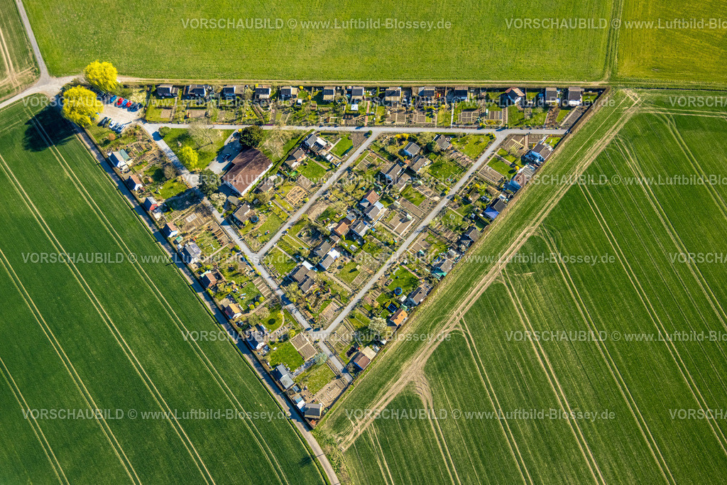Luenen250404348 | Luftbild, dreieckiger KGV Kleingartenverein Grüne Insel,Alstedde, Lünen, Ruhrgebiet, Nordrhein-Westfalen, Deutschland