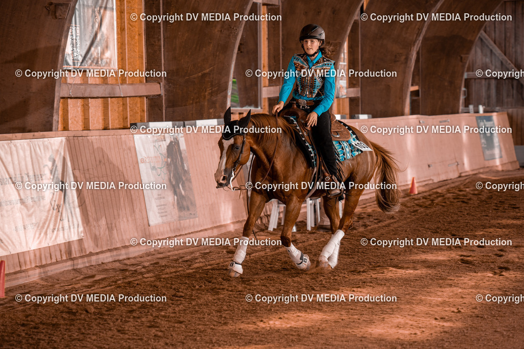 NE201146 | dv-media-shop - Realisiert mit Pictrs.com