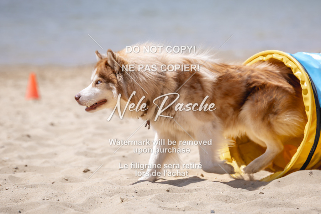 NR__2793 | nelerasche