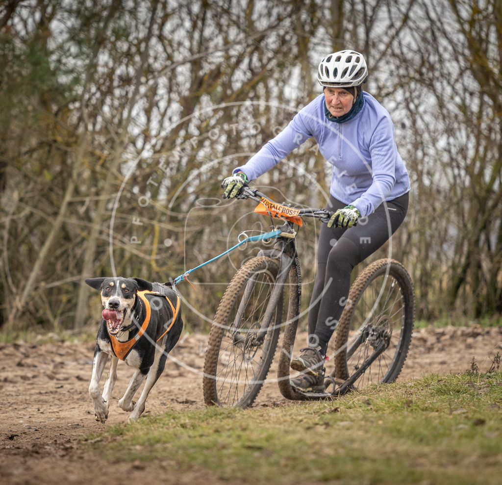 Pfotenfotografie_DV3A9625 | Hundefotografie, Tierfotograf, Pfotenfotografie, Fotoshooting Hund, Hunde Portrait, Hundesport, Hundeportraits, Heideshooting, Hunde, Sportfotograf, Hundefotograf, Turnierhundsport, THS,  - Realisiert mit Pictrs.com