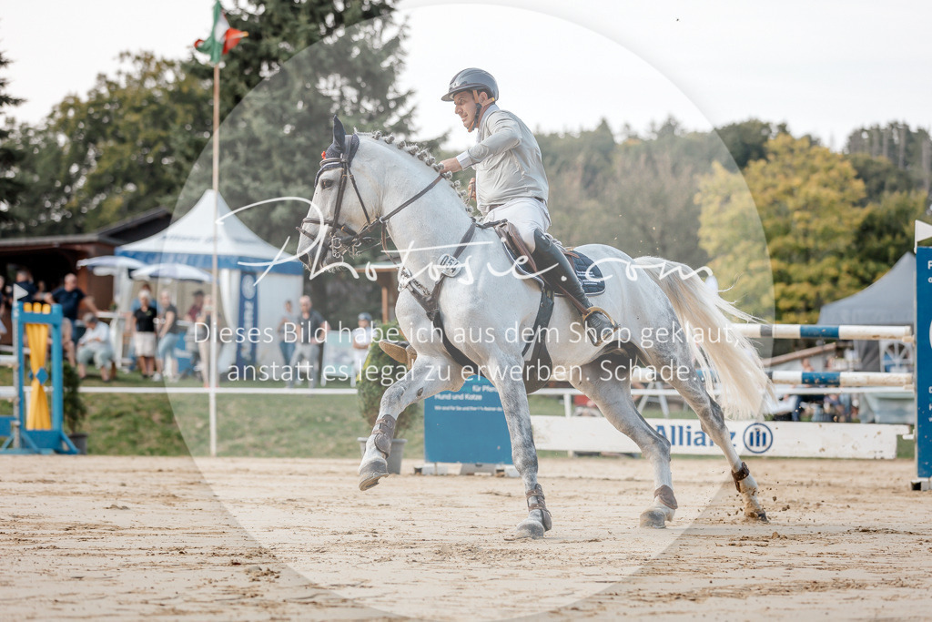 3I6A4719 | Stimmungsvolle Portraits und Reitsportfotografie im Ruhrgebiet und im Münsterland.

Pferdefotografie, Hundefotografie, Tierfotografie, Reportagen, Portraits von Tier und Mensch, Turnierfotografie in Bochum, Recklinghausen, Marl, Haltern am See, Dülmen.. - Realisiert mit Pictrs.com