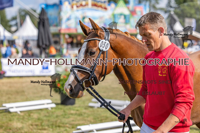 DR (1944 von 2698) | mandyhollmannphotographie