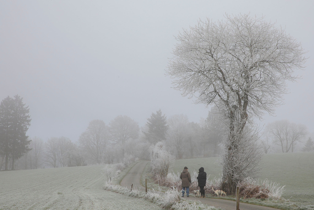 Raureif_Weisten_101222_24 | Bildergalerie von Sport-Ereignissen aber auch von weiteren spannenden Dingen - nicht nur vom Niederrhein. In Anlehnung an den bekannten Spruch von Hanns Dieter Hüsch heißt das Motto: "Niederrhein ist überall".  - Realisiert mit Pictrs.com
