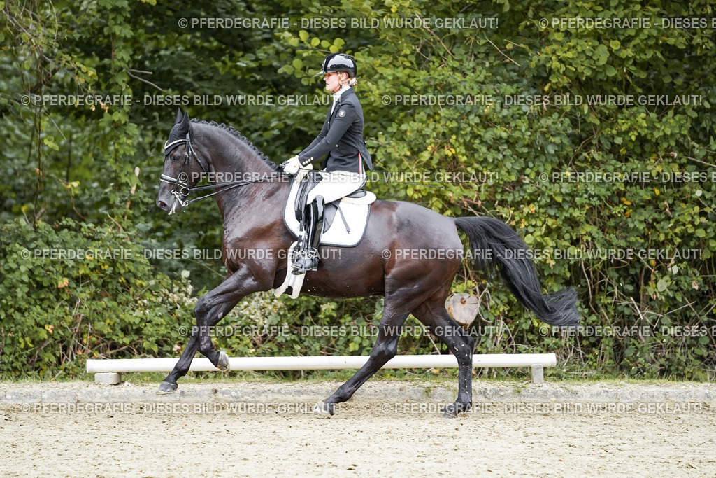 DSC01488 | Pferdegrafie